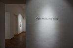 Two-person exhibition with Jan Valik, Curator: Martina Ivicic, NIGHT WALK, DAY SLEEP at Gallery Medium, Bratislava, Slovakia 19th July - 18th August 2019