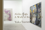 Solo Exhitbion A Walk of Broken Theatre at Yuka Tsuruno Gallery, Tokyo, Japan